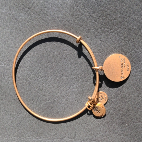 Alex and Ani Aquarius Bracelet Gold - Picture 3 of 3